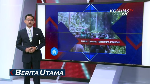 Pohon Tumbang Timpa Wisatawan di Bali, 2 WNA Tewas