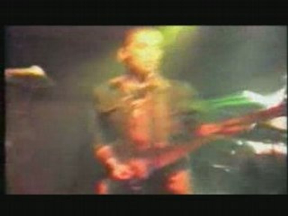 La Souris Déglinguée  concert sur le dvd des 25...