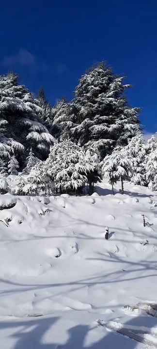 جبال البابور