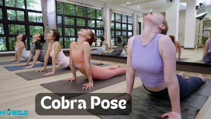 7 Safe and Effective Exercises for a Disc Bulge | Mobile Physio