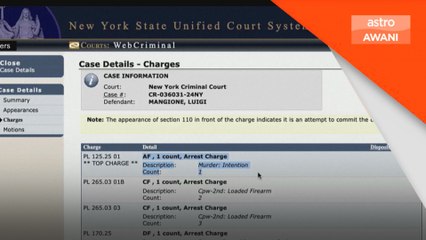 Suspek bunuh CEO UnitedHealthCare didakwa membunuh