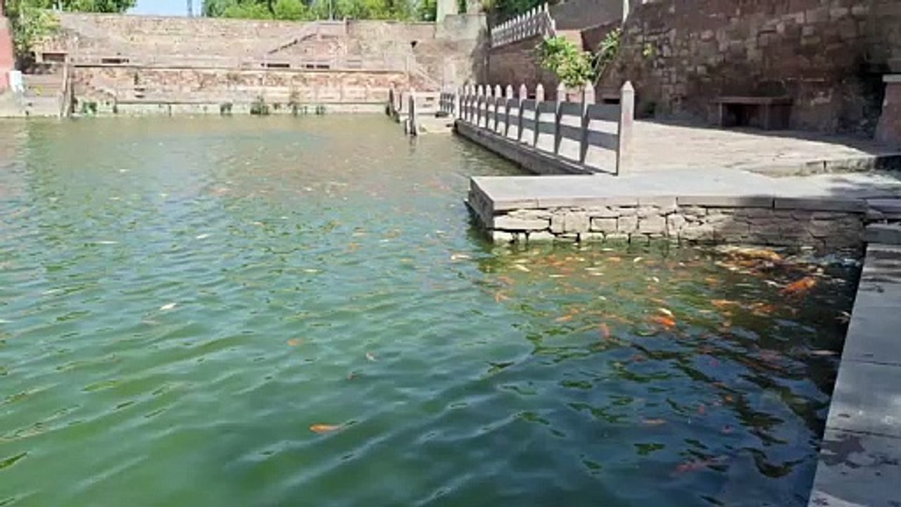 जड़ा तालाब की टूटी हुई रेलिंग दे रही संकट को आमंत्रण, अब तक परिषद ने नहीं बनाई