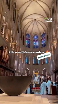 La renaissance d’un symbole : Notre-Dame de Paris ⛪️ Après des années de travaux minutieux, Notre-Dame de Paris ouvre à nouveau ses portes cette semaine 🕊️. Ce joyau historique, témoin de tant de siècles, rayonne à nouveau au cœur de la capitale. ✨ D