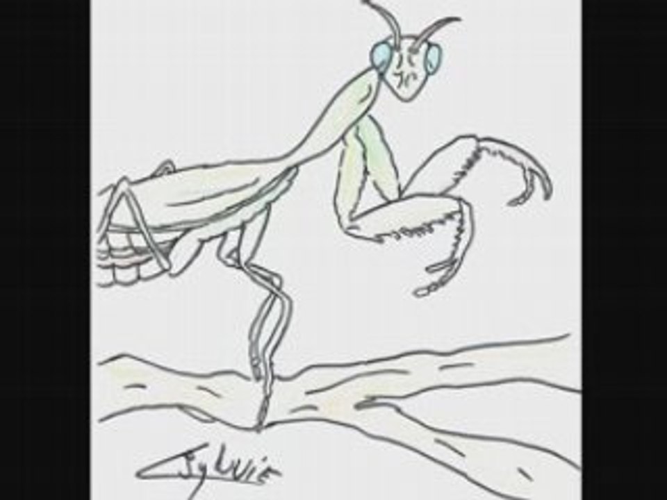 Dessin