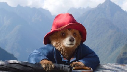 Paddington in Peru kann sich mit 92 Prozent positiven Reviews rühmen - hier ist der letzte Trailer