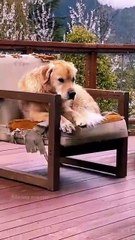 Expectation vs. Reality: Life in 5 Minutes🤣😂