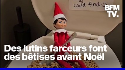 Des lutins farceurs font des bêtises dans les salons en attendant Noël