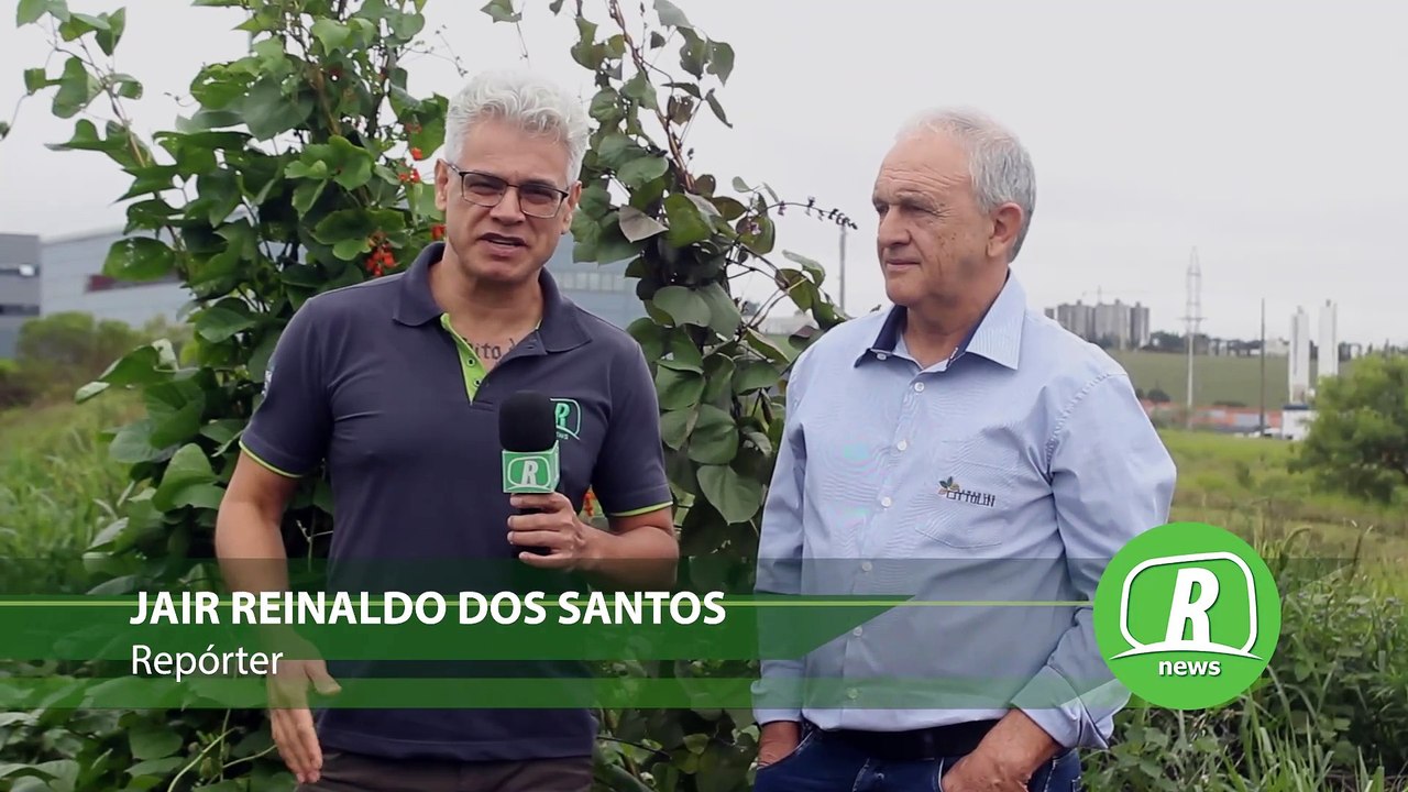 Dia de Campo mostrará novas tecnologias e variedades de feijões