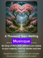 Music And Lyrics A THOUSAND YEARS WAITING - Musicque