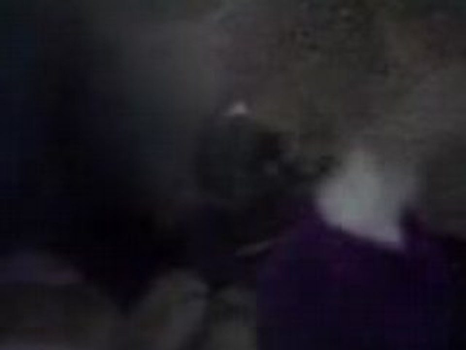 Crazy panda raketer