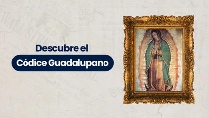 Explora el Fascinante Código Guadalupano ✝️