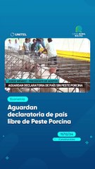 Aguardan declaratoria de país libre de Peste Porcina
