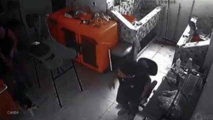 Cachorrinho de oito meses morre durante tosa em pet shop; assista