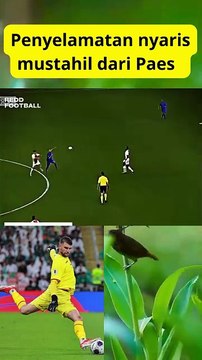 3 Penyelamatan bola nyaris mustahil dari Marrten Paes#timnas#paes#fifa#pssi