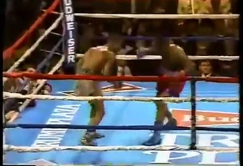 Aaron Davis vs Meldrick Taylor - HBO 1-19-91