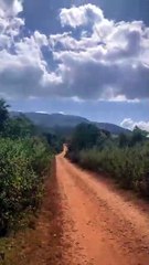 parahh bensin habis di tengah hutan!!!!!!