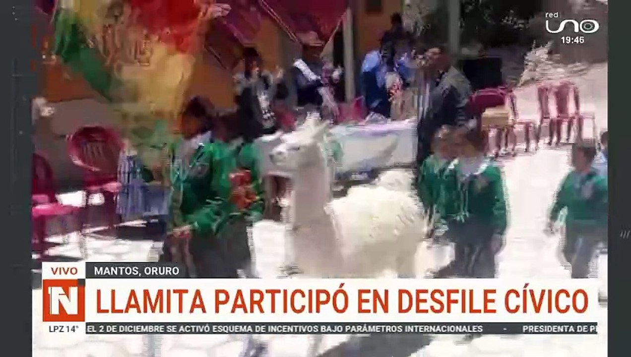 llamita
