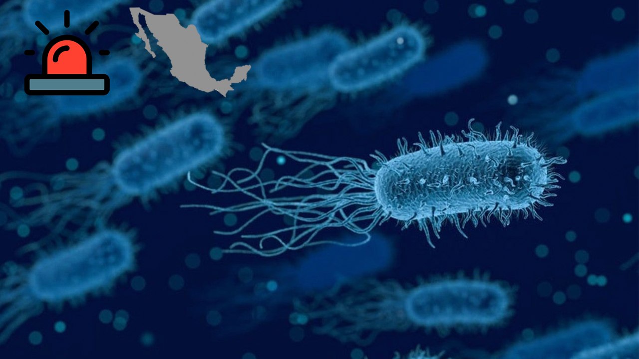 Brotes de Klebsiella Oxytoca en México: 17 Niños Fallecidos en Tres Estados