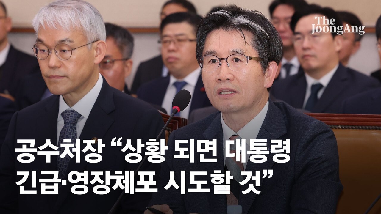 [속보] 공수처장 "상황 되면 대통령 긴급체포·영장체포 시도하겠다"