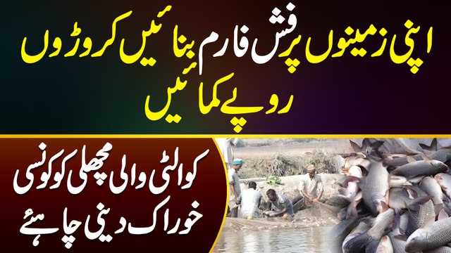 Fish Farming Business in Pakistan - Fish Farming Me Kitna Profit Hai? Konsi Fish Ki Demand Zyada Hai?