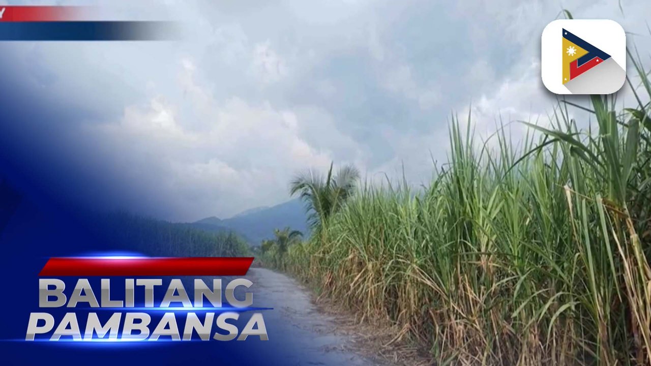 SRA, handang magbigay ng tulong sa mga magsasakang naapektuhan ng pagputok ng Bulkang Kanlaon