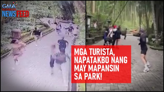Mga turista, napatakbo nang may mapansin sa park! | GMA Integrated Newsfeed
