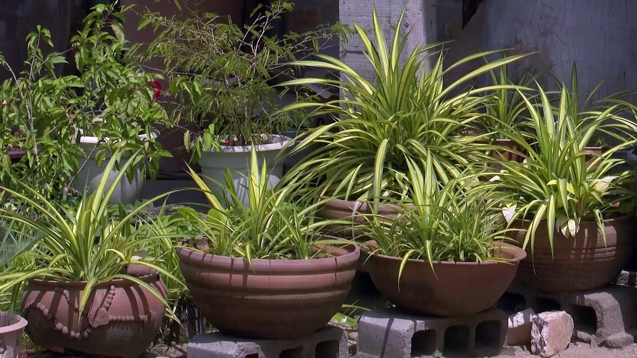 A la rencontre de Fatou Sylla, première femme entrepreneure de Côte d'Ivoire (Interview) #RTIinfo