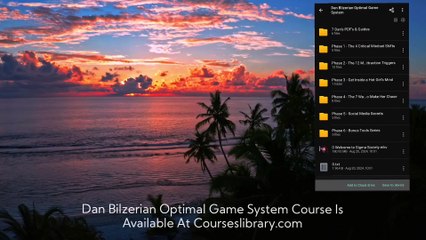 Download Dan Bilzerian Optimal Game System