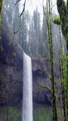 Water Resource Management || Benefits of Farm forestry