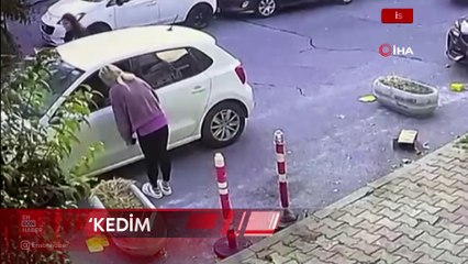 İstanbul'da kedisinin tıraşını beğenmeyen kadın veterinere saldırdı