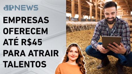 Profissões do agro: salários e habilidades para 2025; Kellen Severo analisa