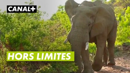 Hors limites en mode SUN CITY - Golf + le mag