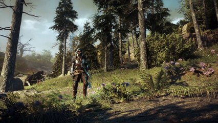 Soulframe confirma su ventana de lanzamiento