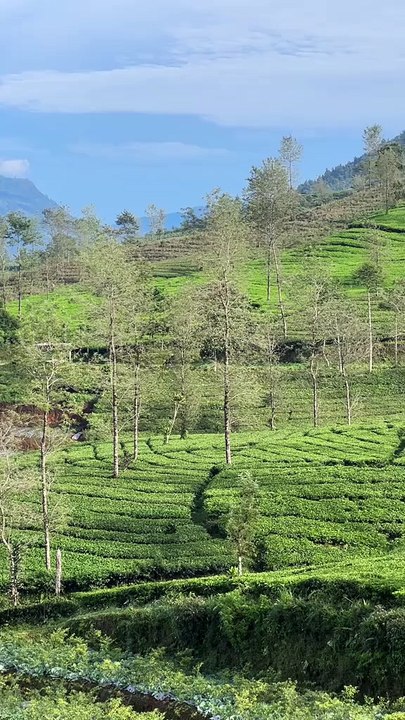 Tanah suci Wonosobo dan keindahan alamnya 🗻