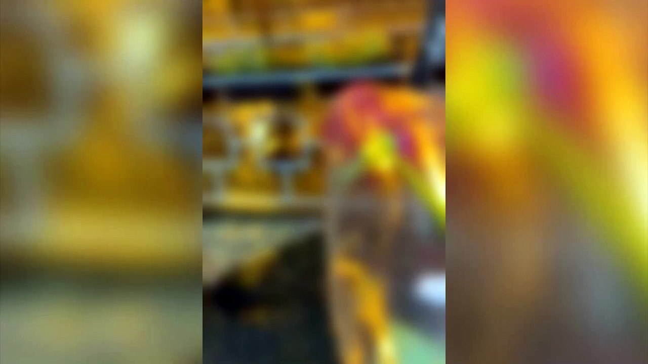 Ciúmes: Mais uma briga entre mulheres é registrada no meio da rua