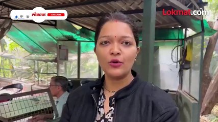 कात्रजमधील वाघ सिंहासाठी ब्लँकेट अन् हिटर