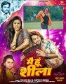 #ytshorts#मै हूँ शीला |#shilpiraj | Irfan Pappu Dewana Nitu | Grapes Purvi | New Bhojpuri Song  gana