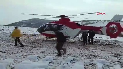 Yürüyüş yaparken ayı saldırdı! Helikopterle kaldırıldı