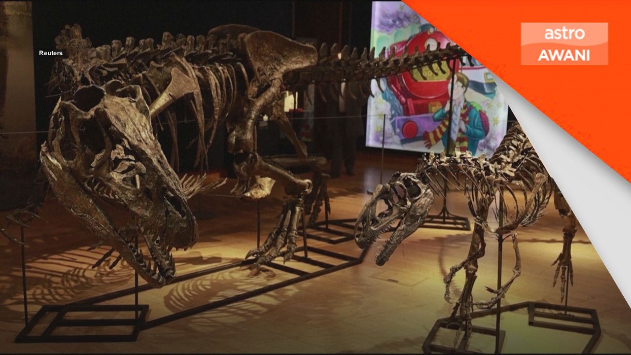 'Allosaurus' & 'Stegosaurus' dibida £12.4 juta pound