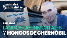 Langostas inmortales y hongos de Chernóbil: Raúl Rivas explora las maravillas de la evolución