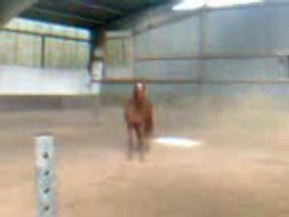 Courbe...