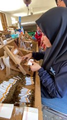 gadis cantik pembuat rokok yang sering kalian hisap.