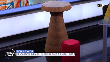 Bon à savoir : Le carton, bien plus qu'un simple emballage !