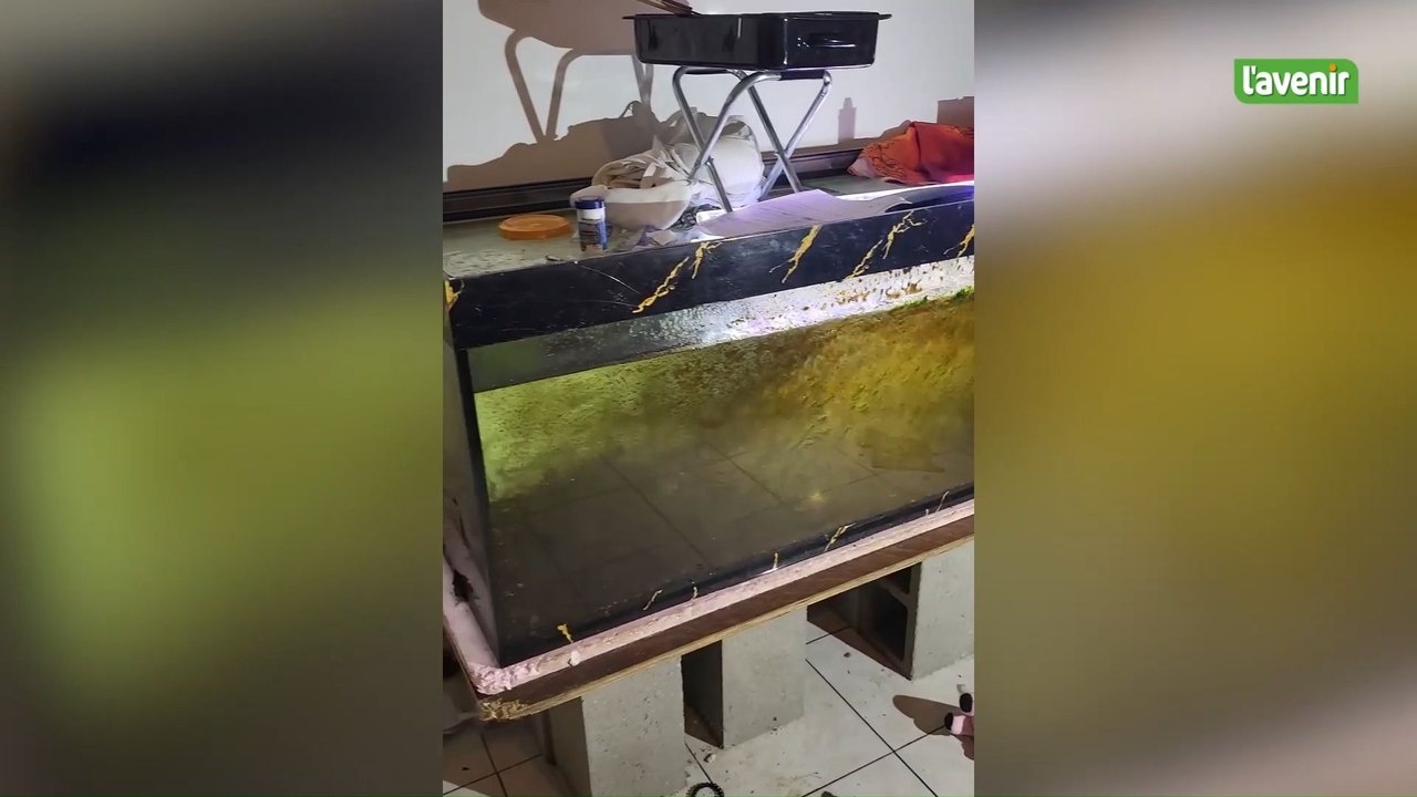 Des dizaines de poissons morts retrouvés dans des aquariums abandonnés par son locataire.