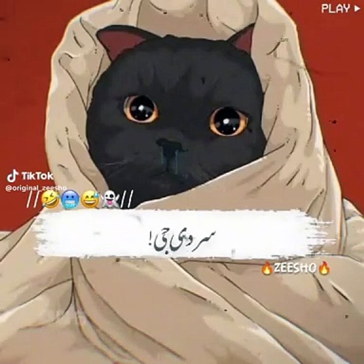 Nkgfbkhf