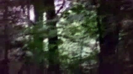 Merlin Season 4 Episode 8 Lamia