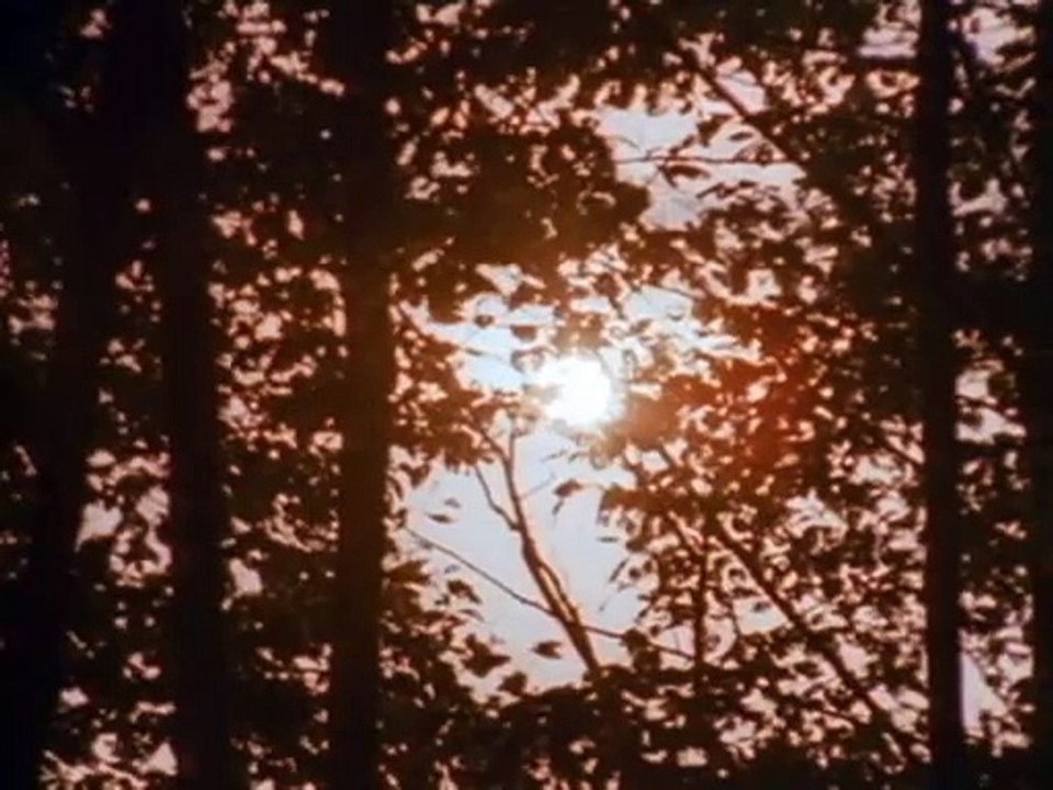 S05E07 - Der kleine Bruder