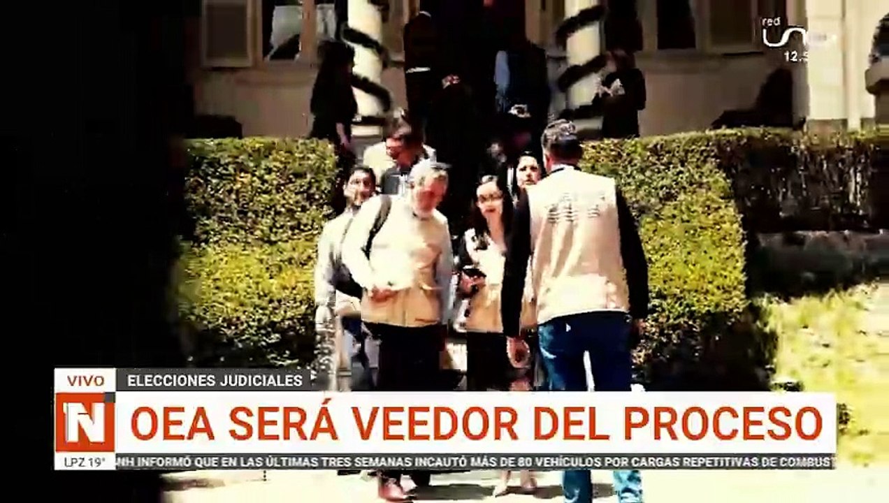 oea sera veedor del proceso