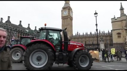 I trattori bloccano Londra: "È la morte dell'agricoltura britannica"