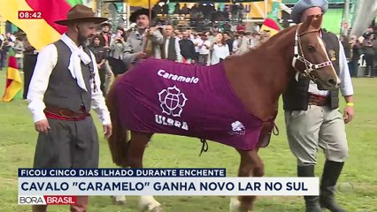 Cavalo Caramelo ganha lar definitivo em universidade de Canoas (RS)